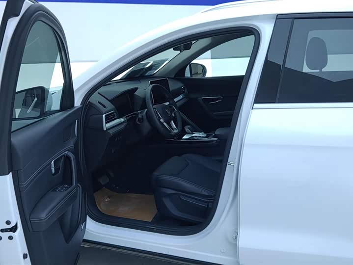 BYD Song Pro 2019 2019款 1.5T 自动精英型