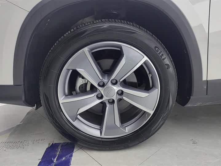 Geely Okavango L 2024 2024款 2.0T DCT旗舰型