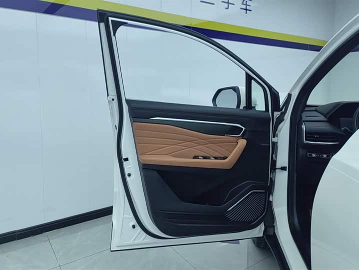 Geely Okavango L 2024 2024款 2.0T DCT旗舰型