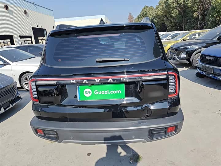 Haval Dargo 2024 2024款 1.5T DCT边牧版