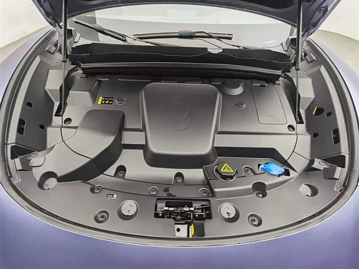 Ora Lightning Cat (07) 2022 2022款 555km 尊贵版