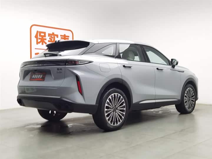 Exeed RX C-DM Hybrid 2024 2024款 1.5T 长续航Pro