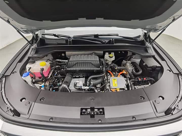 Exeed RX C-DM Hybrid 2024 2024款 1.5T 长续航Pro