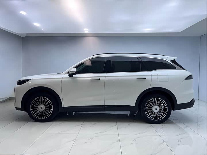 Chery Fulwin T9 2024 2024款 120 长续航版旗舰型 7座 三元锂
