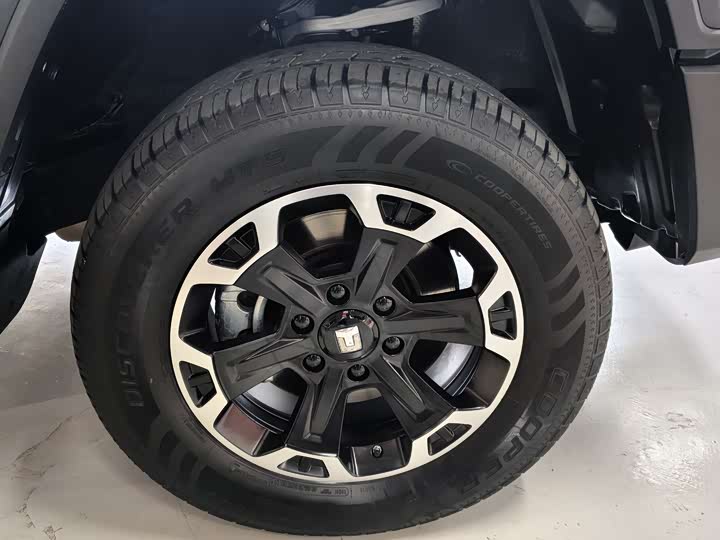 Tank 300 Hybrid 2025 2025款 Hi4-T 37.1kWh