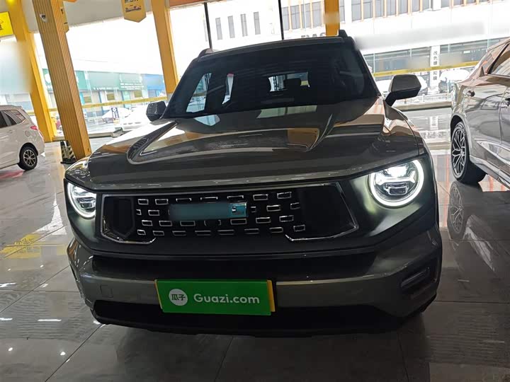 Haval H-Dog Hybrid 2024 2024款 Hi4 102km 潮电版Plus