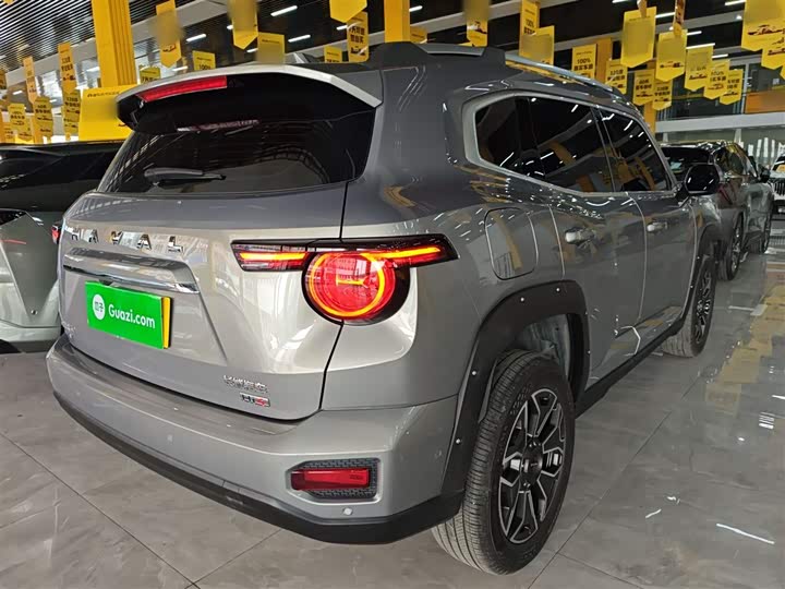Haval H-Dog Hybrid 2024 2024款 Hi4 102km 潮电版Plus