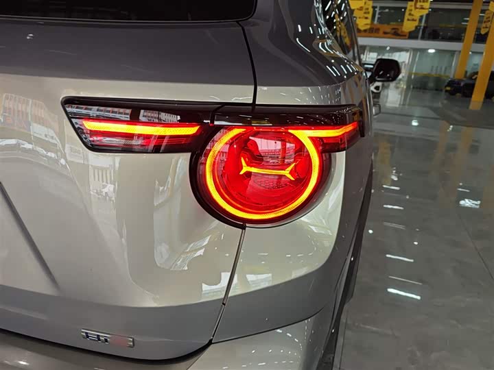 Haval H-Dog Hybrid 2024 2024款 Hi4 102km 潮电版Plus