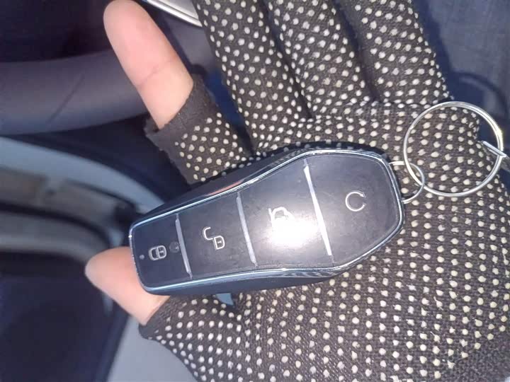 BYD Yuan Up 2025 2025款 301KM 领航型