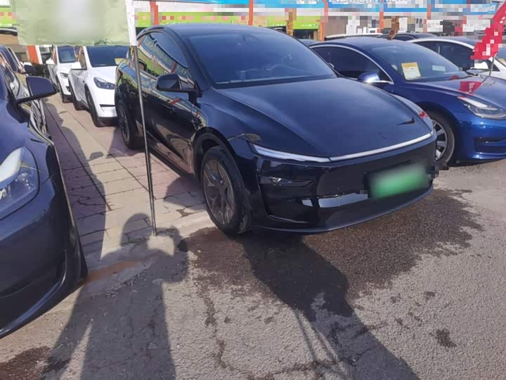Tesla Model Y 2025 2025款 长续航全轮驱动版