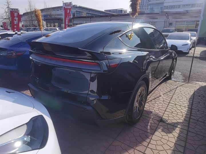 Tesla Model Y 2025 2025款 长续航全轮驱动版