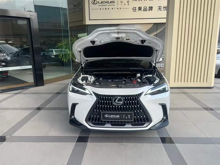 2025 Lexus NX