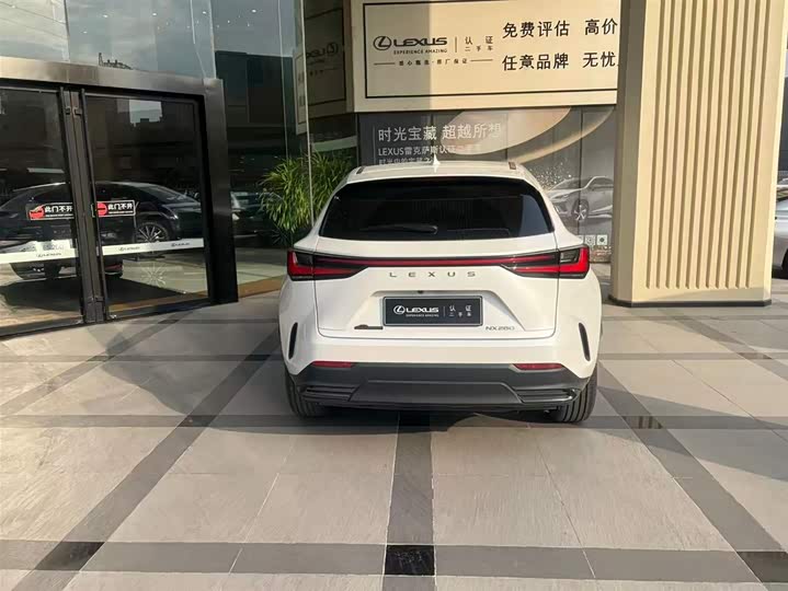 2025 Lexus NX
