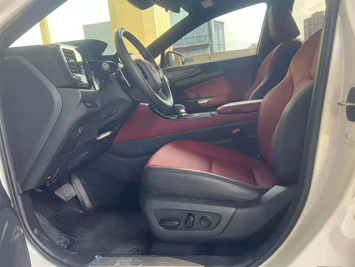 Lexus NX 2025 2025款 260 前驱 特别版