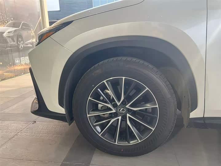 Lexus NX 2025 2025款 260 前驱 特别版