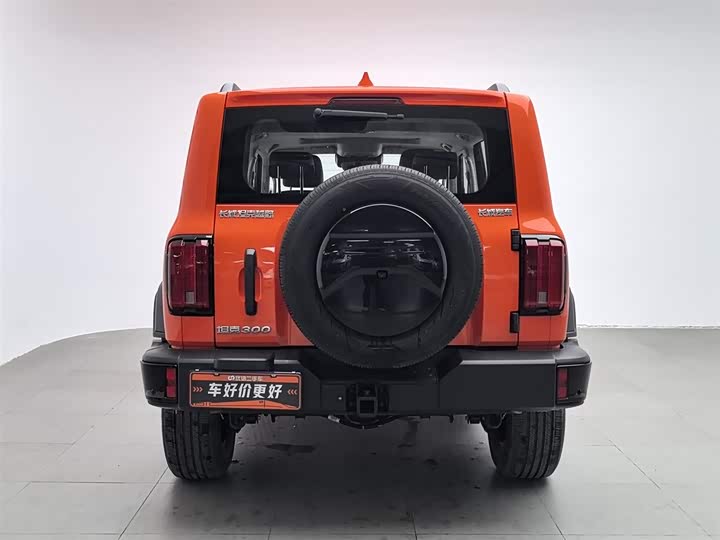 Tank 300 2024 2024款 2.0T 征服者