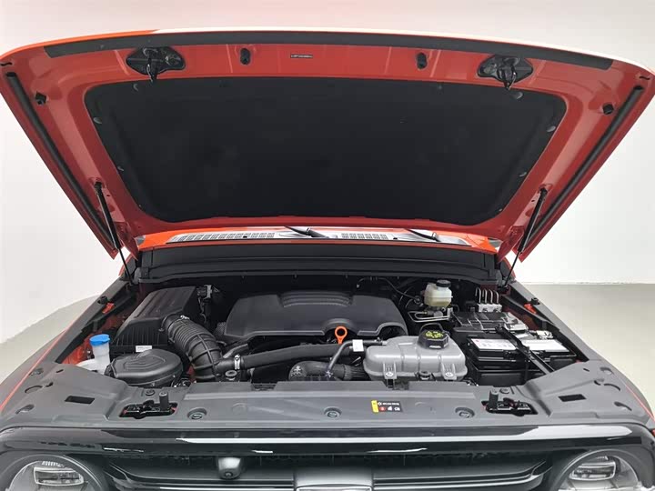 Tank 300 2024 2024款 2.0T 征服者