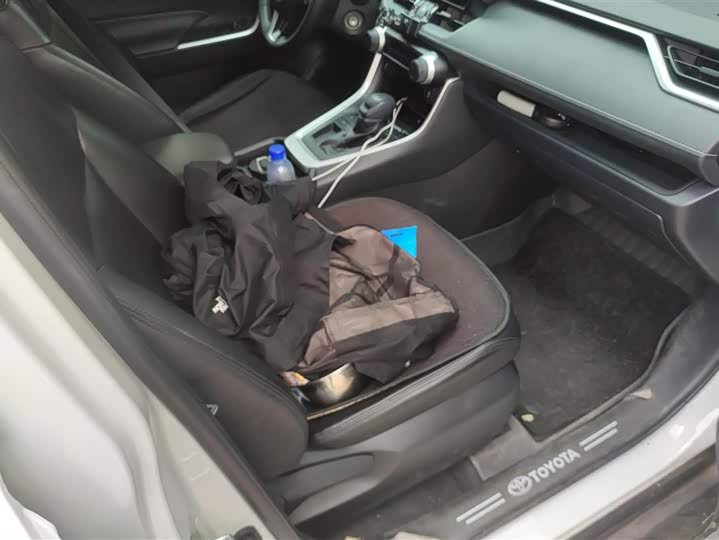 Toyota RAV4 2024 2024款 2.0L CVT两驱都市版