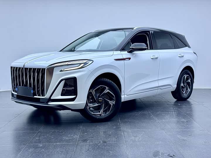 Hongqi HS3 2023 2023款 1.5T 两驱善为版