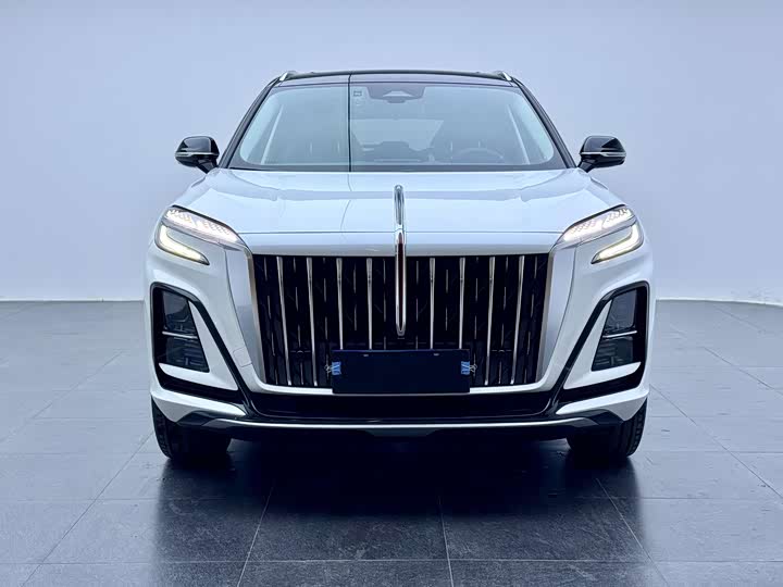 Hongqi HS3 2023 2023款 1.5T 两驱善为版