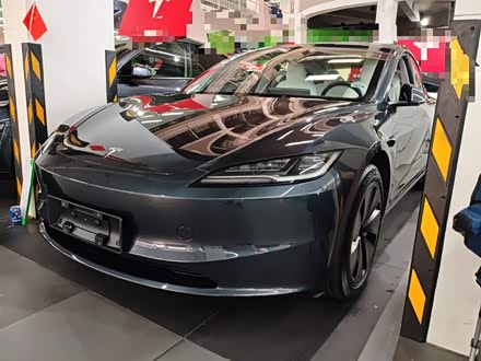 Tesla Model 3 2023 2023款 后轮驱动版