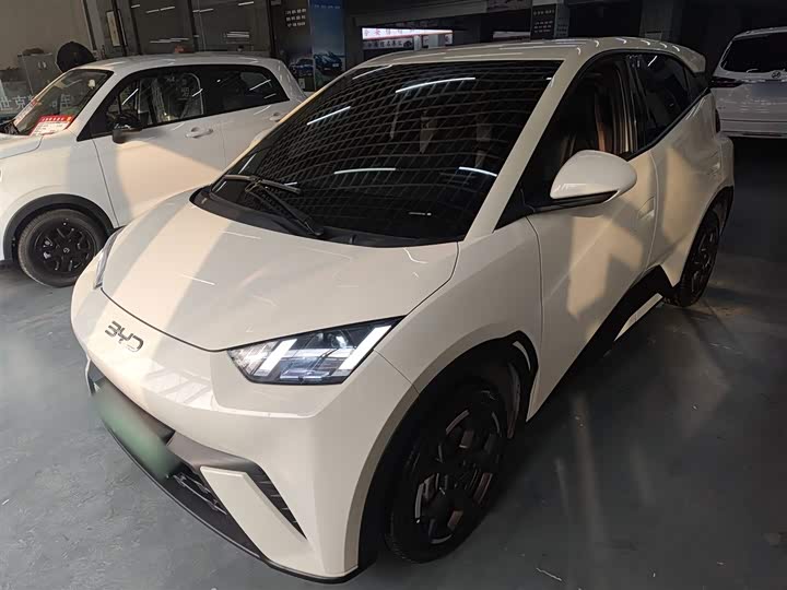 BYD Seagull 2025 2025款 305km 自由版