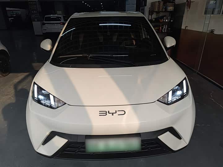 BYD Seagull 2025 2025款 305km 自由版