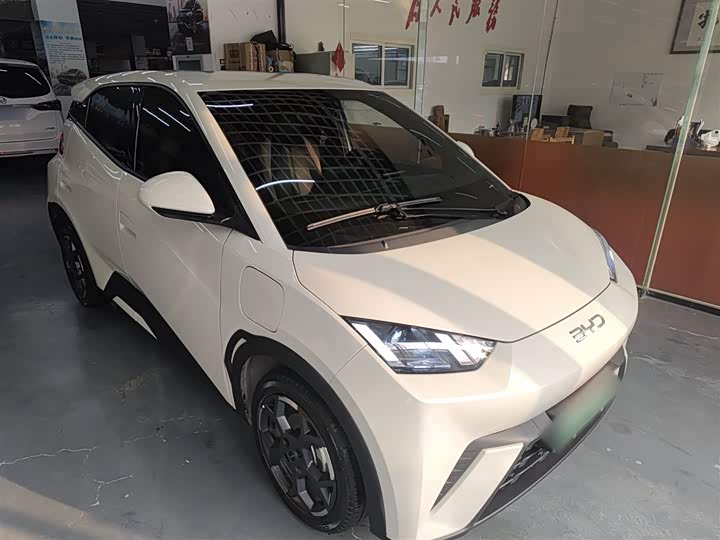 BYD Seagull 2025 2025款 305km 自由版