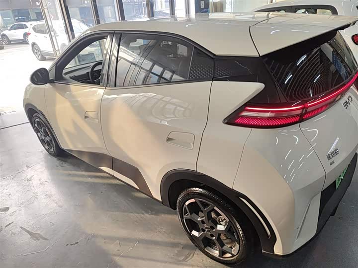 BYD Seagull 2025 2025款 305km 自由版