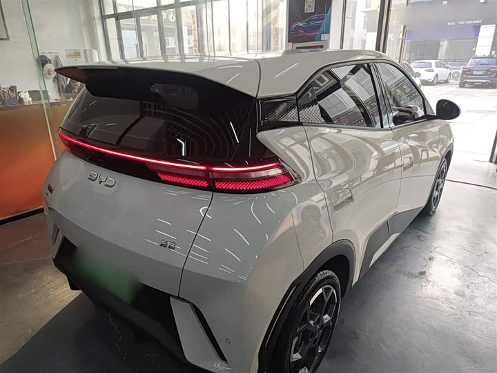 BYD Seagull 2025 2025款 305km 自由版