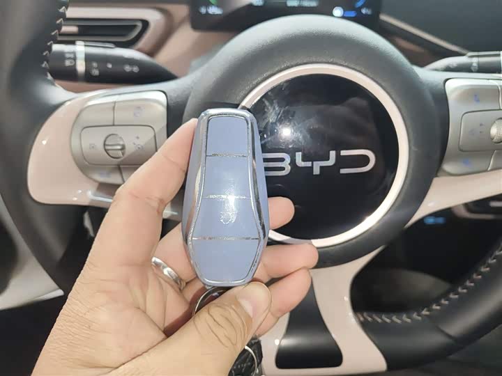 BYD Seagull 2025 2025款 305km 自由版