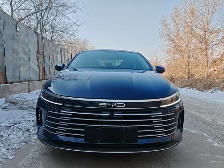 BYD Destroyer 05 2024 2024款 荣耀版 DM-i 55KM 豪华型