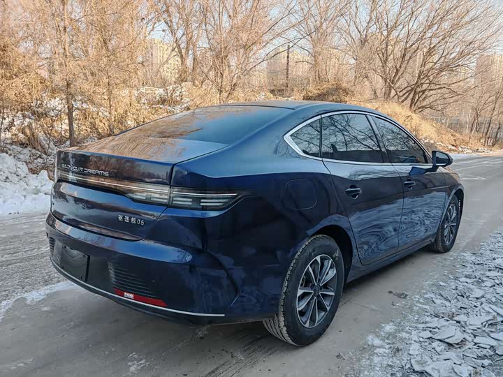 BYD Destroyer 05 2024 2024款 荣耀版 DM-i 55KM 豪华型