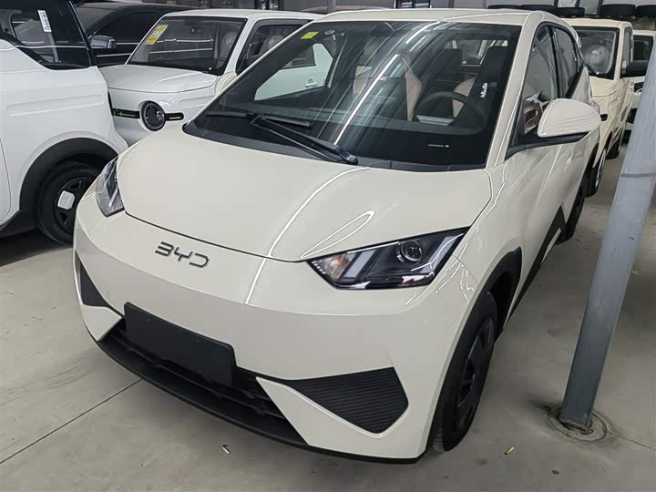 BYD Seagull 2025 2025款 智驾版 305km 活力版