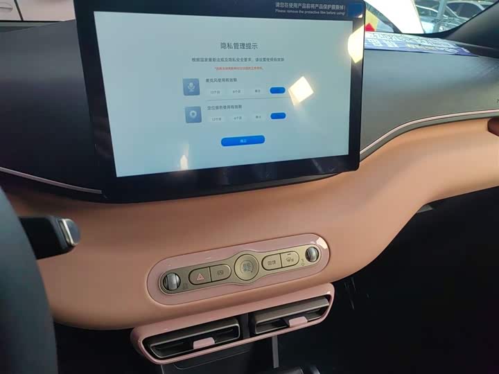 BYD Seagull 2025 2025款 智驾版 305km 活力版