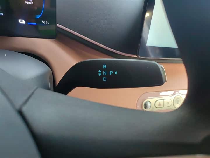 BYD Seagull 2025 2025款 智驾版 305km 活力版