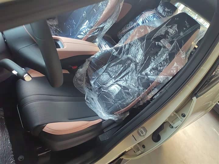 BYD Seagull 2025 2025款 智驾版 305km 活力版