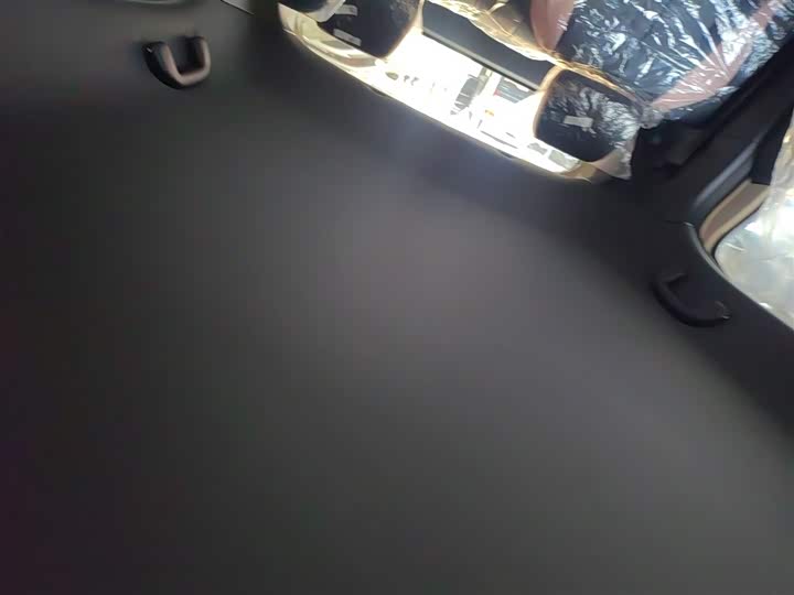 BYD Seagull 2025 2025款 智驾版 305km 活力版