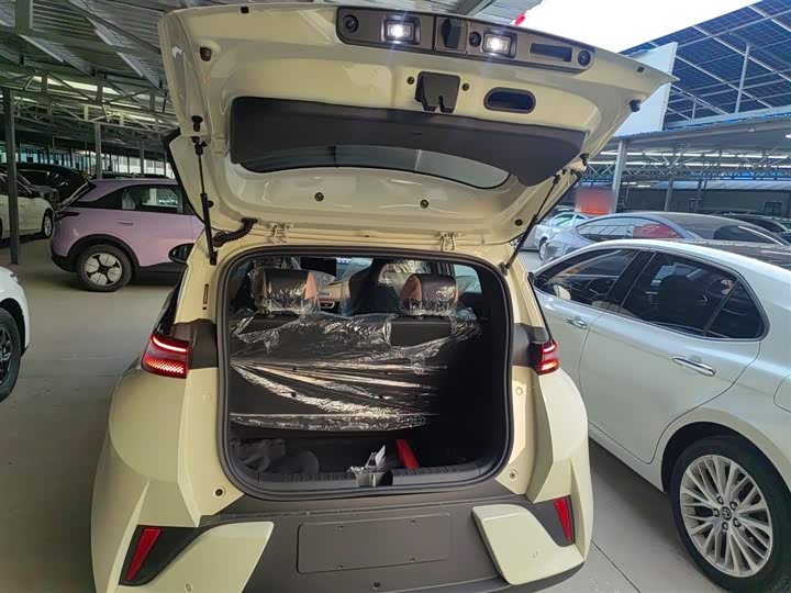 BYD Seagull 2025 2025款 智驾版 305km 活力版