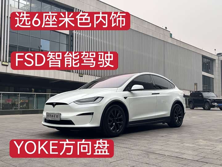 Tesla Model X 2023 2023款 双电机全轮驱动版