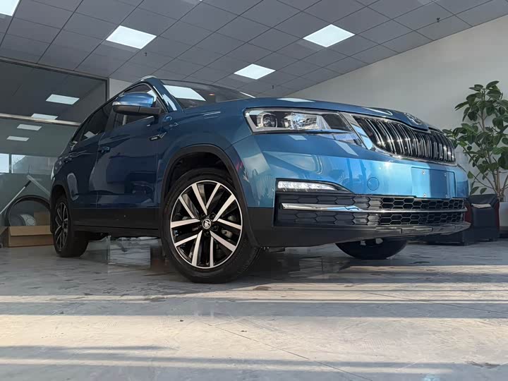 Skoda Kamiq 2022 2022款 1.5L 自动舒享版