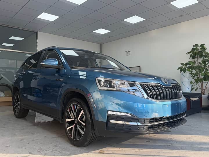 Skoda Kamiq 2022 2022款 1.5L 自动舒享版