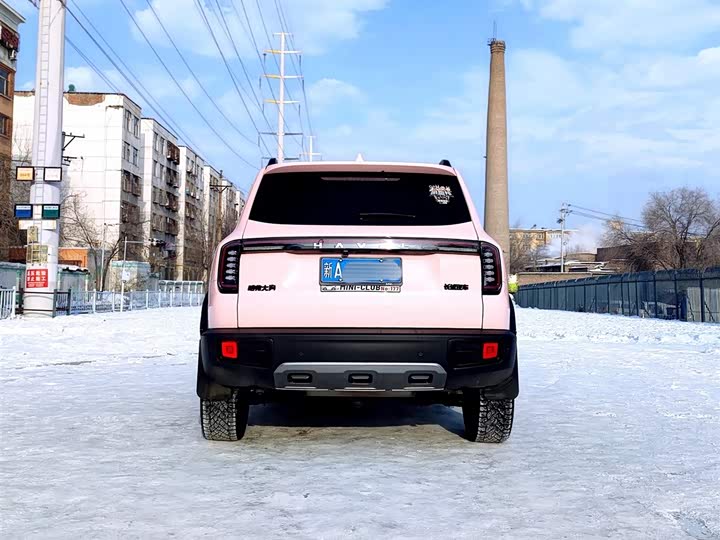 Haval Dargo 2024 2024款 1.5T DCT边牧版