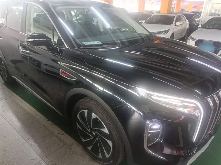 Hongqi HS7 Hybrid 2024 2024款 2.0T PHEV 四驱旗畅版 6座
