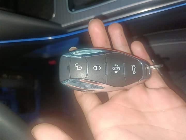 Hongqi HS7 Hybrid 2024 2024款 2.0T PHEV 四驱旗畅版 6座