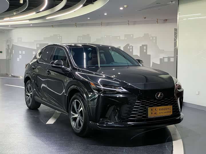 Lexus RX 2025 2025款 300 四驱骏享版