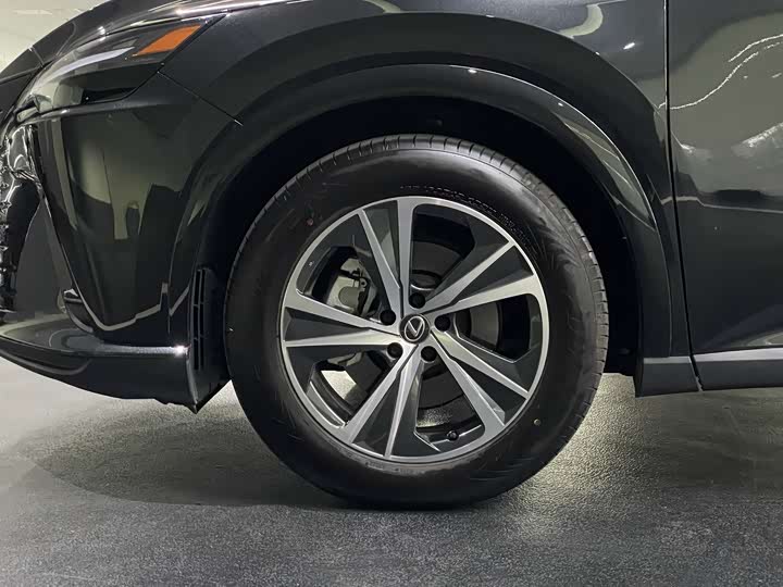 Lexus RX 2025 2025款 300 四驱骏享版