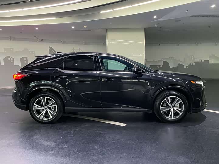 Lexus RX 2025 2025款 300 四驱骏享版