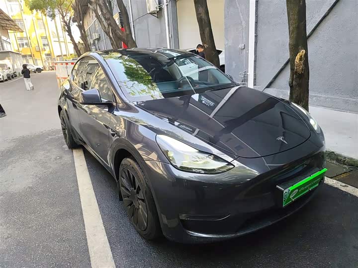Tesla Model Y 2024 2024款 长续航全轮驱动版