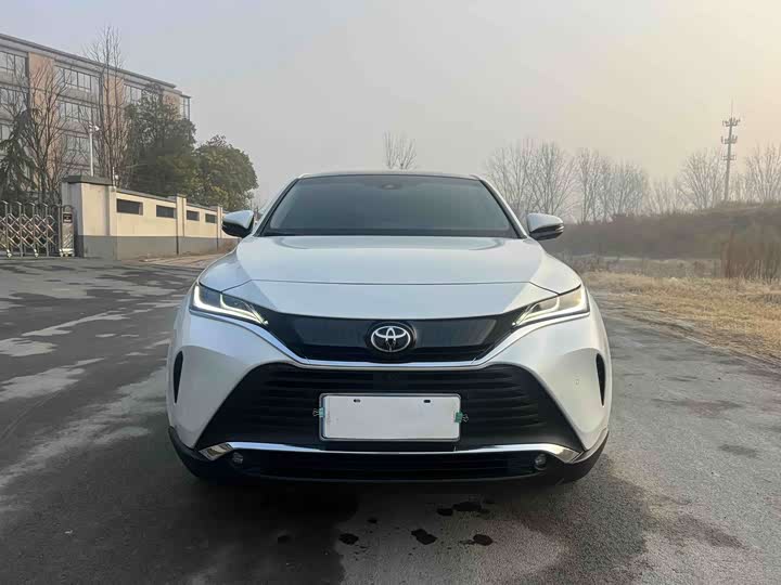 Toyota Harrier 2023 2023款 2.0L CVT两驱尊享版